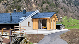 Anbauten - Baugruppe Bristen